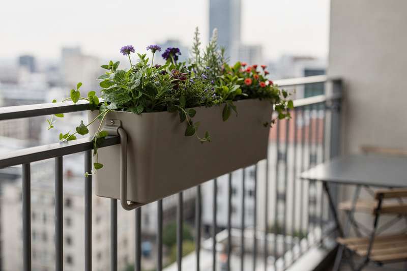 Una fioriera bianca appesa al ringhiera di un balcone stretto con fiori colorati che pendono elegantemente.