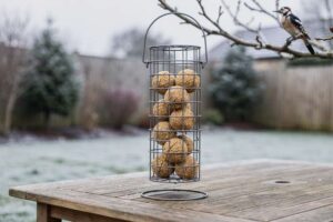 Migliore mangiatoia per palline di grasso per picchi nel giardino invernale