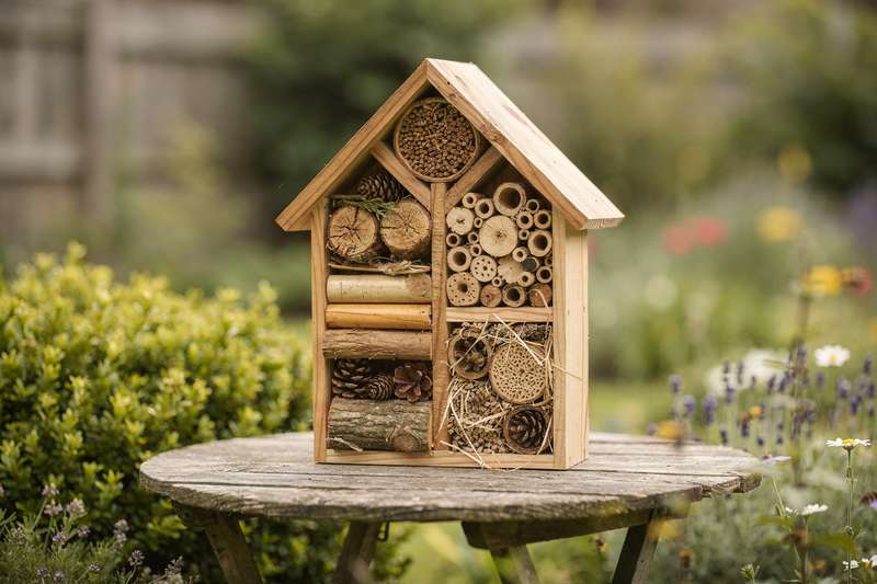 Una casetta in legno con più vani appesi tra le piante fiorite, dove api e coccinelle trovano rifugio nel tuo giardino.